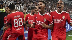 Ricardo Gomes 'antecipa' jogo da Champions na Luz: «PSG é favorito, mas vitória do Benfica não seria surpresa»