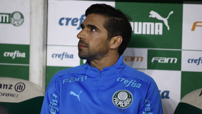 Abel Ferreira pediu número de jornalista para pedir-lhe desculpa por resposta na conferência