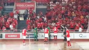 Hóquei em patins: criança foi atingida por bola no Benfica-Valongo e recebeu assistência