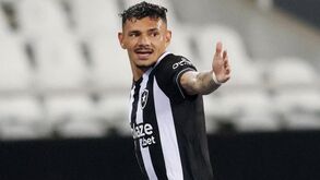 Tiquinho Soares deixa desabafo no Botafogo: «Há algum tempo que não era feliz»