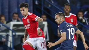 Barcelona esteve de olho na exibição de Enzo Fernández no PSG-Benfica