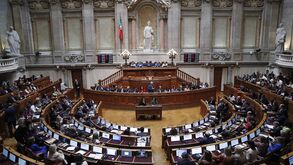 PS quer ouvir governo e dirigentes desportivos na AR sobre polémica no judo