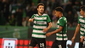 O resumo do Sporting-Casa Pia: os golos, os casos e outros lances