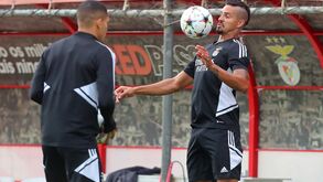 Benfica fecha preparação para o jogo com a Juventus: veja as imagens