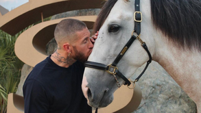 Sergio Ramos vende herdade de 40 hectares por 5 milhões de euros