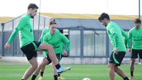 Coates no relvado: as imagens do treino do Sporting antes da visita ao Tottenham