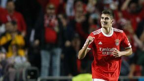 Fabrizio Romano: «Benfica está convencido de que António Silva pode valer 80 a 90M€»