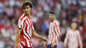 Schmidt e os rumores sobre regresso de Félix ao Benfica: «Gosto muito dele mas não acho que seja realista»