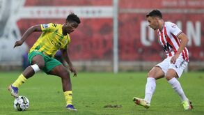 Dário Miranda e a sua evolução: «Estou a ganhar experiência e ritmo de jogo»