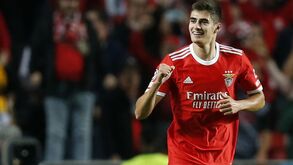 «Parabéns pelos 30 anos de experiência»: António Silva celebra 19.º aniversário e recebe curiosa mensagem