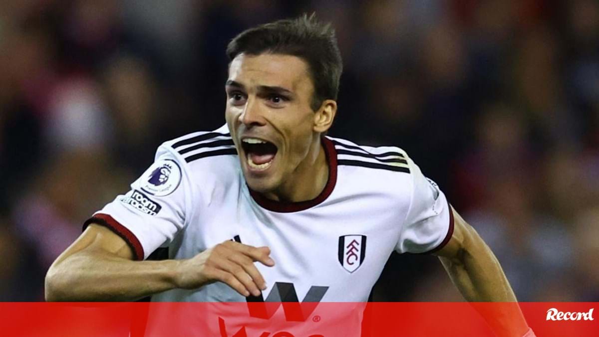João Palhinha: «Nesta competição não há favoritos e todos os jogos vão ser  chave» - Sporting - Jornal Record