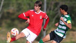 Sporting Benfica Juvenis Campeonato Nacional - SL Benfica