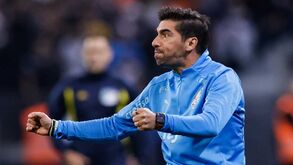Palmeiras de Abel Ferreira é o novo campeão do Brasileirão