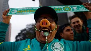 Palmeiras campeão: Os números de um título muito saboroso