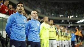 Presidente da República felicita Abel Ferreira pela conquista do Brasileirão