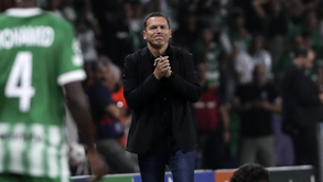 Barak Bakhar rendido ao Benfica: «Vão até às meias-finais»