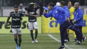 Abel Ferreira: «Não devemos falar só de títulos, o Palmeiras ganhou muito dinheiro»