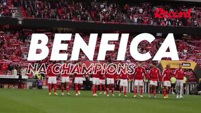 Entre os melhores da Europa em pontos, golos e muito mais: os números coletivos e individuais do Benfica na Champions