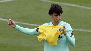 Fernando Santos e as dificuldades de João Félix: «É muito novo para reverter isto»