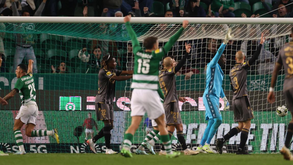 O resumo do Sporting-V. Guimarães: golos, casos e outros lances