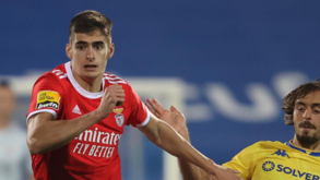 As notas dos jogadores do Benfica frente ao Estoril: António tira curso do mestre Humberto