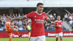 Valores de mercado fora das 'big 5': jogador do Benfica na liderança e Liga Bwin em destaque