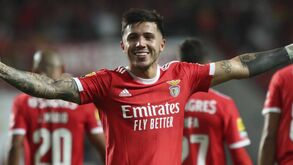«Um comboio imparável»: jornalistas argentinos acreditam que Enzo vai ser titular no Mundial