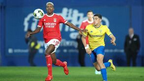 Schmidt: «Tiago Gouveia está a jogar bem e vai voltar ao Benfica no verão»