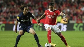 Enzo: «Foram 25 jogos de águia ao peito invictos, lutadores, dedicados e unidos»
