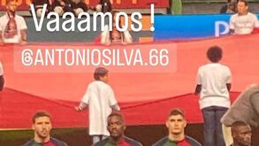 Preparador físico do Benfica em Alvalade para seguir jogo da Seleção