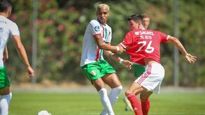 Estrela da Amadora-Benfica: águia desfalcada em jogo com história
