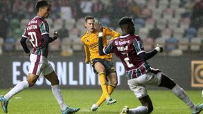 O resumo do E. Amadora-Benfica: golos, casos e outros lances