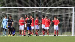Académica de Santarém-Benfica, 0-2: águia aproveita ofertas ribatejanas
