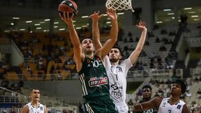 Panathinaikos-Bolonha: nove posições a separar os dois conjuntos