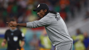 Aliou Cissé: «Quando se perde o primeiro jogo, o segundo torna-se uma final»