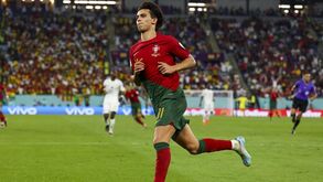João Félix bem humorado: «Foi sofrer à português»