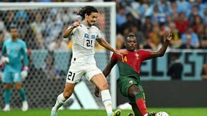 William Carvalho: «Foi um grande jogo de Portugal»