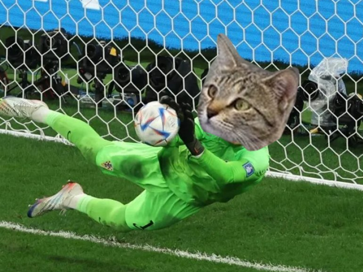 Gato Net Futebol