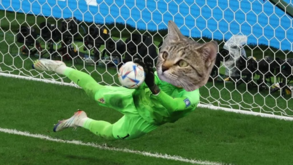 O Cristo Redentor croata, o multibraços Livakovic e as muitas maldições do gato: Internet goza com eliminação brasileira