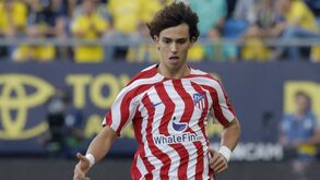 Espanhóis colocam Arsenal na corrida por João Félix