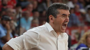 Norberto Alves e a vitória sobre o FC Porto: «Sabíamos que o jogo ia ser uma final antecipada»