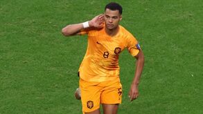 Cody Gakpo: 'Motor' da Holanda no Qatar começou a carburar com Roger Schmidt
