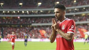 Gonçalo Ramos eleito melhor avançado dos meses de outubro e novembro da Liga Bwin