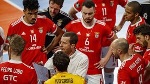 Benfica aguarda representante da Madeira como adversário na Taça de voleibol