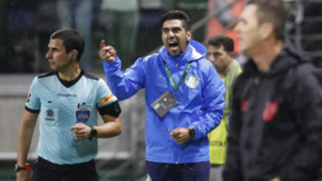Verdão tem ordem para amarrar Abel