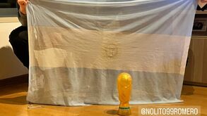 Argentinos Alvarez e Romero celebram juntos a conquista do Mundial: «O que sofremos!