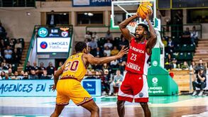 Benfica-Limoges: águia em ação na Liga dos Campeões