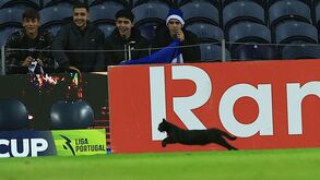 Gato preto invadiu relvado no FC Porto-Gil Vicente: as imagens que não passaram na TV