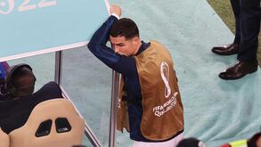 Niculae e a prestação de Ronaldo no Mundial: «O grupo já não o aceitou tão bem...»