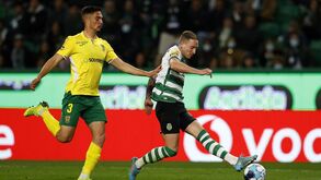 Sporting-P. Ferreira: leão num grande momento